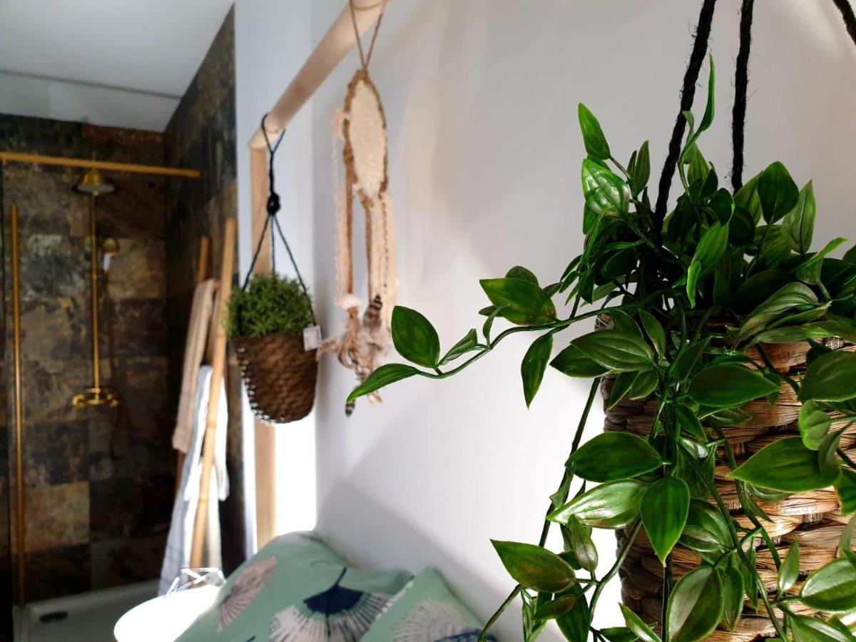 Casas Bem Haja Praca E Oliveira Appartement São Miguel de Acha Buitenkant foto
